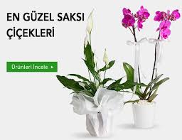 İzmir salon çiçekleri