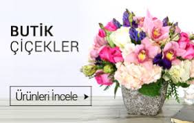 İzmir Yakaköy Orkide çiçek siparişi