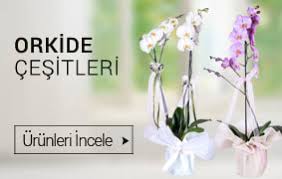 Narlıdere çiçekçiler butik çiçekler